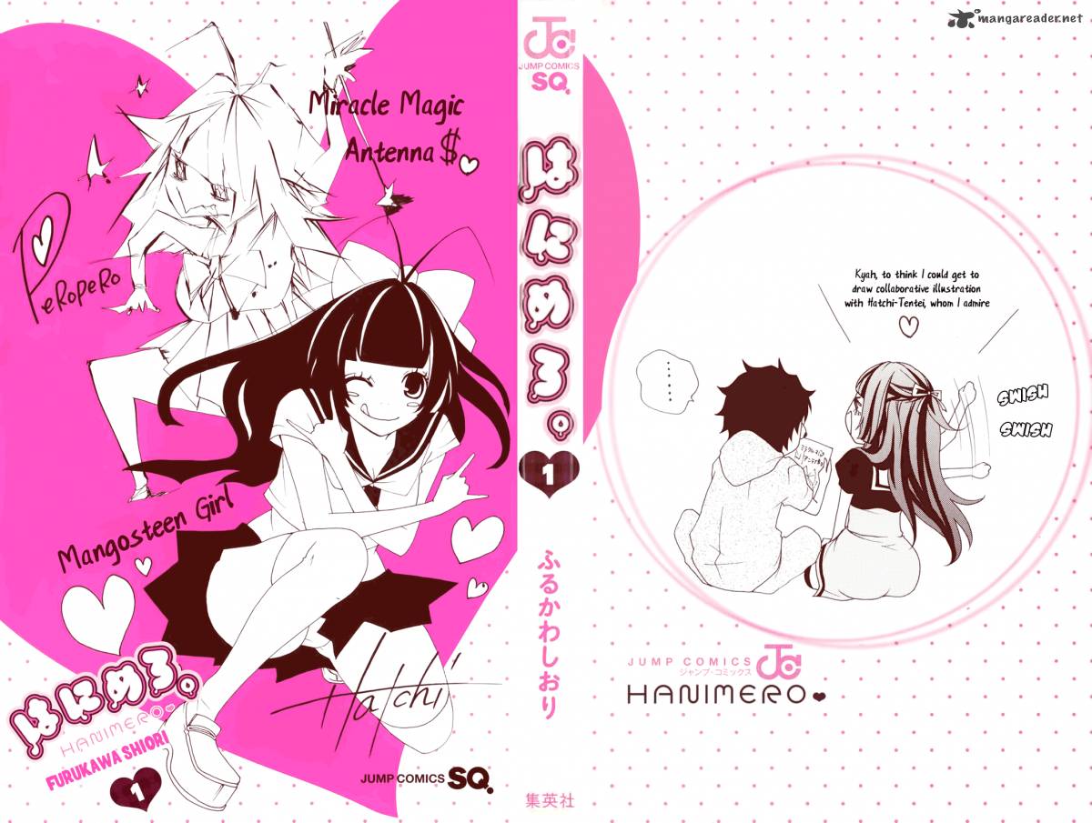 hanimero_1_3