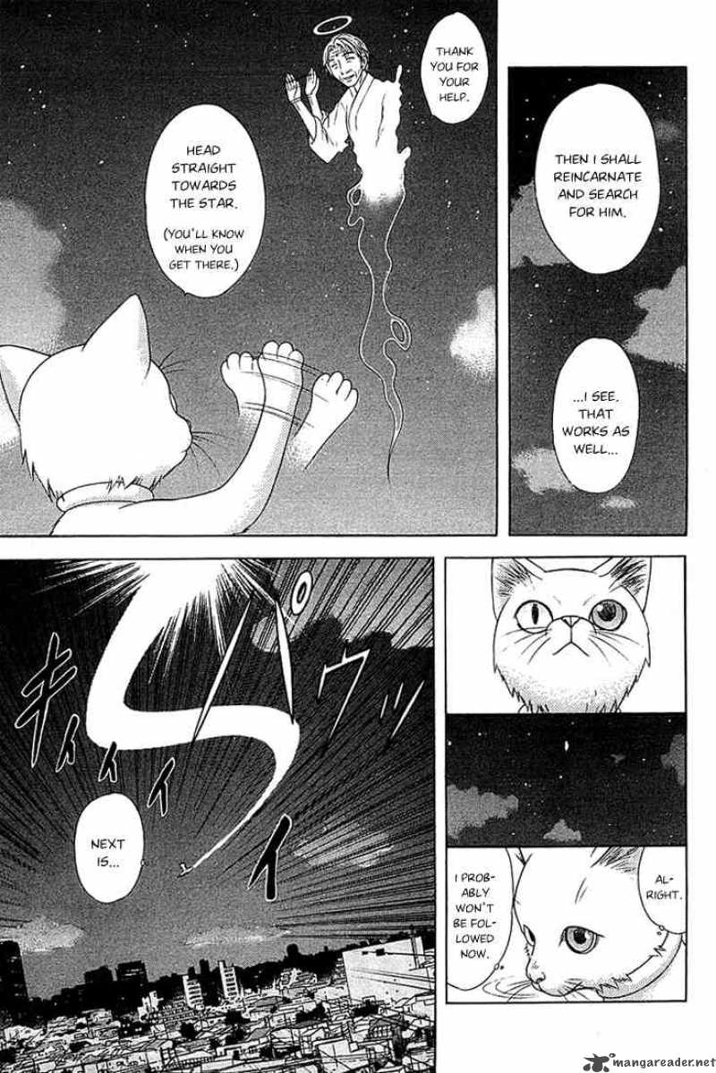 happy_world_46_5