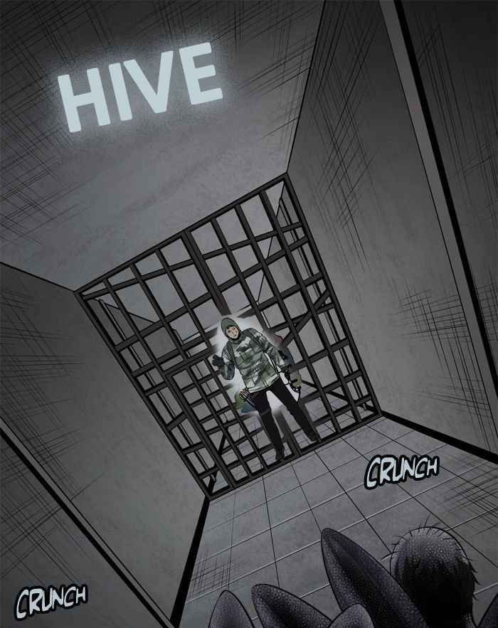 hive_111_1