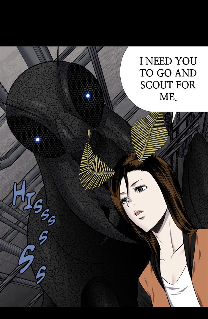 hive_208_33
