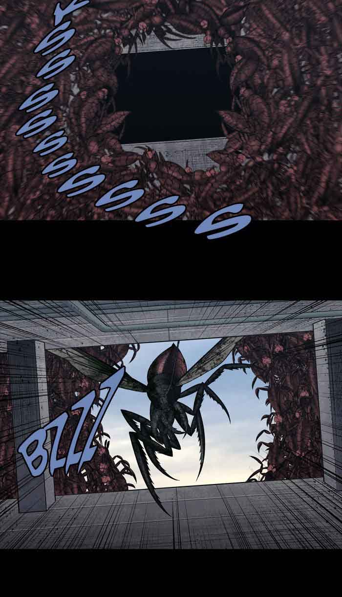 hive_232_24