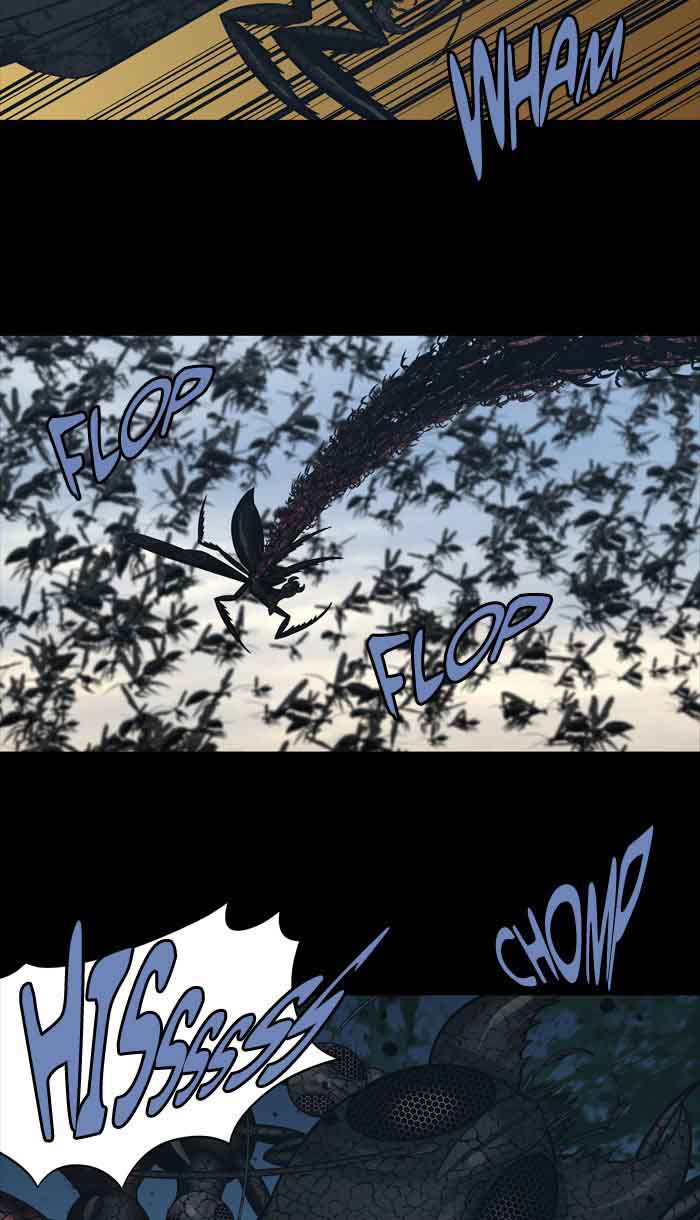 hive_232_27