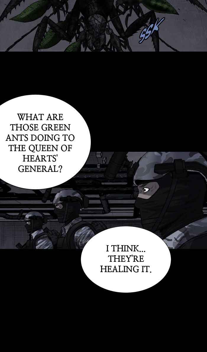 hive_232_33