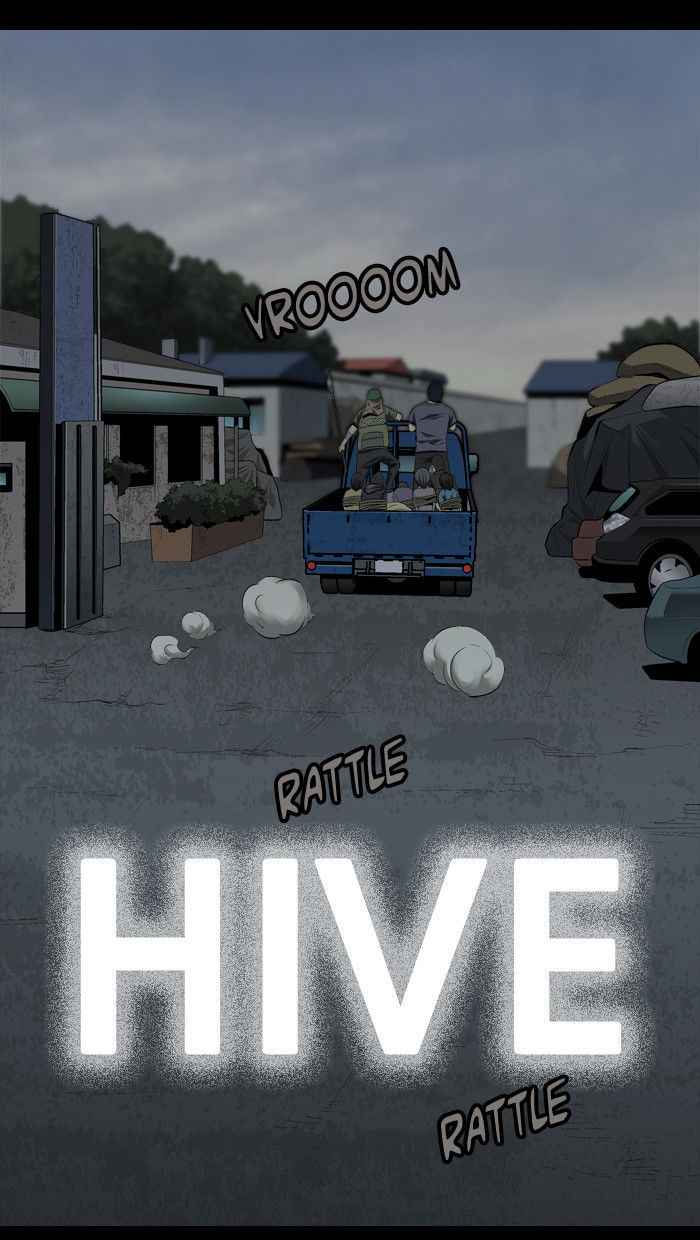hive_37_1