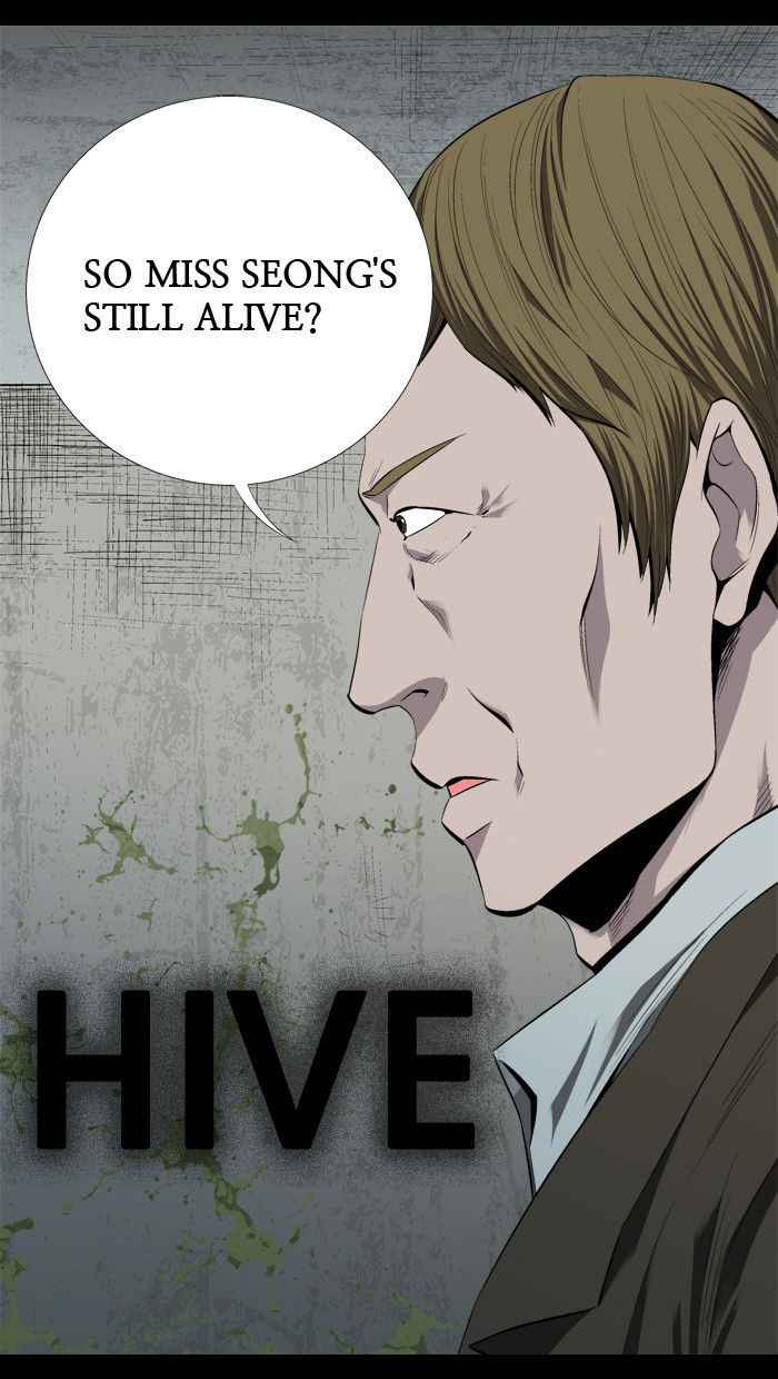 hive_44_1