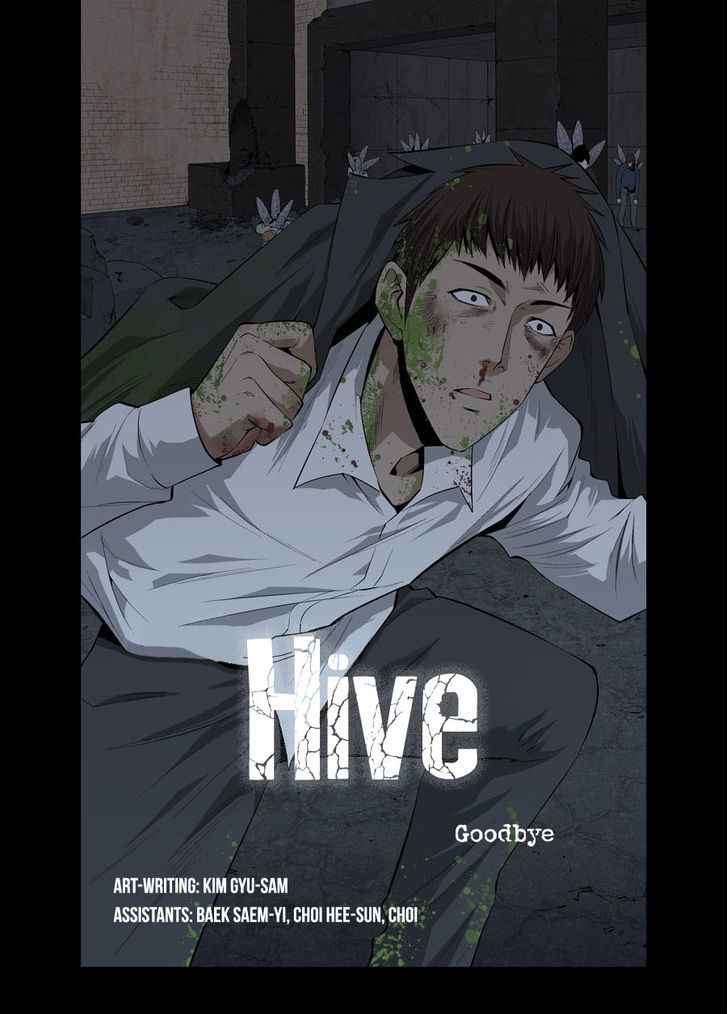 hive_5_2
