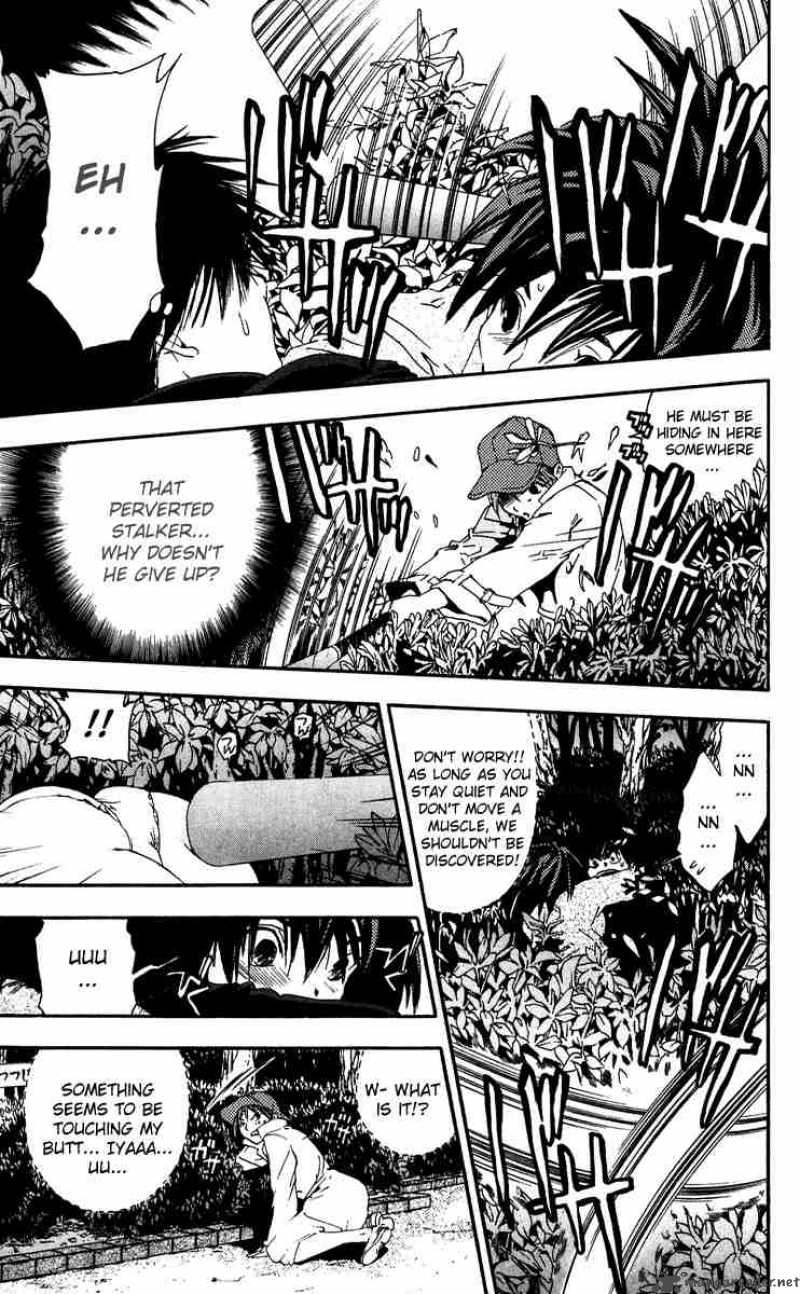 ichigo_100_106_5