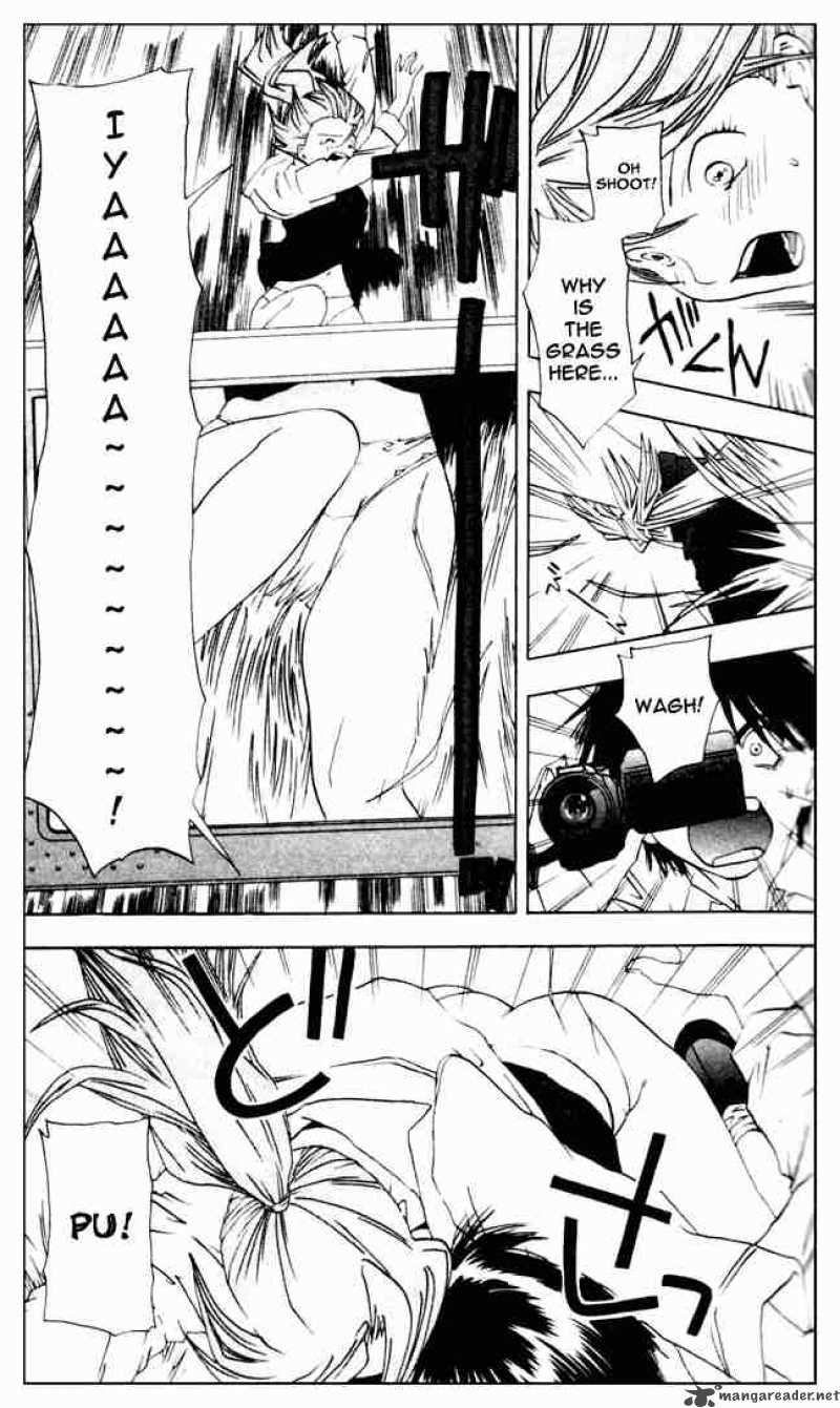 ichigo_100_19_13