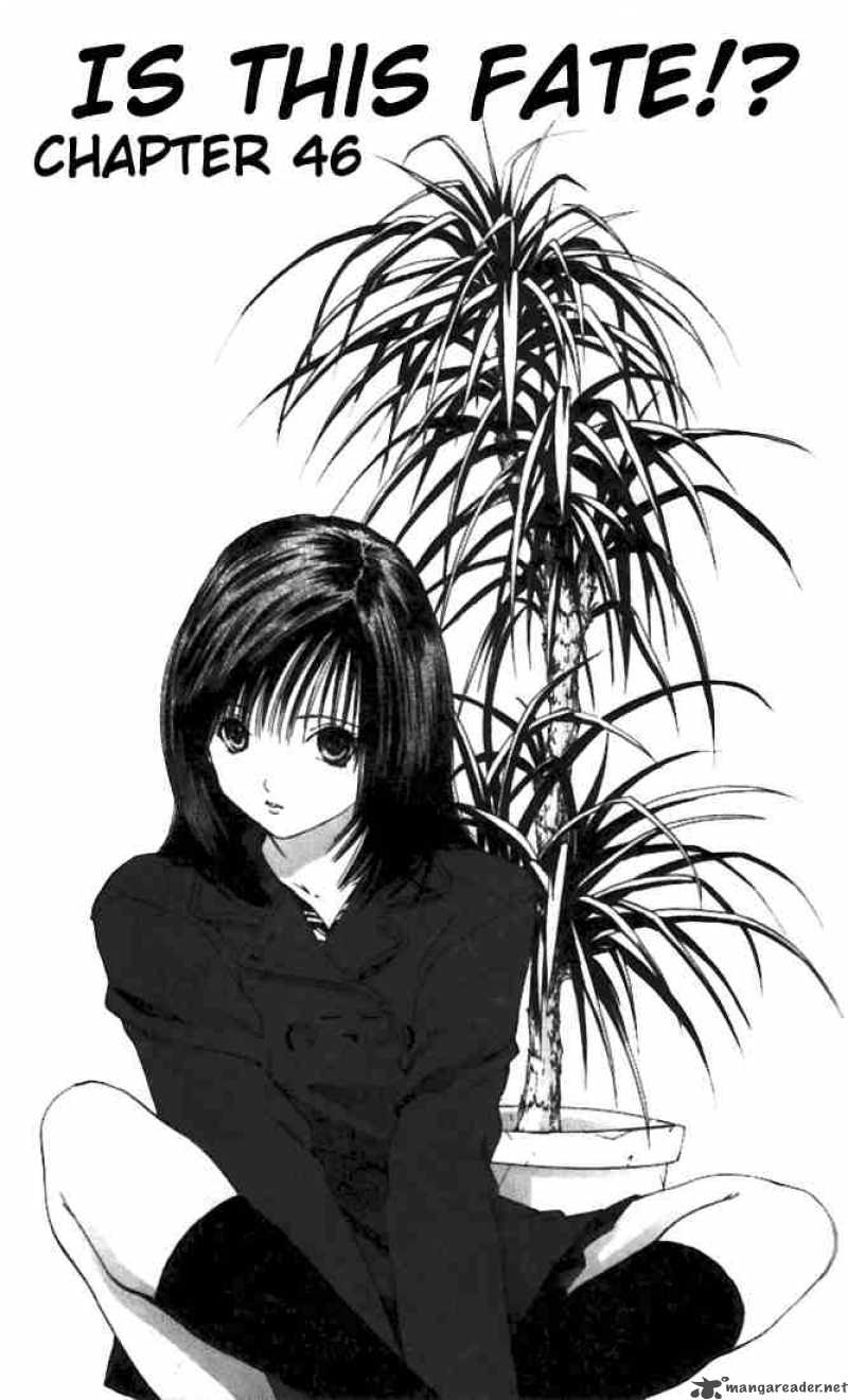 ichigo_100_46_1