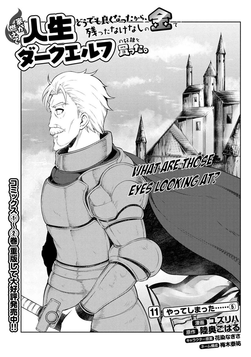 ie_ga_moete_jinsei_dou_demo_yoku_natta_kara_nokotta_nakenashi_no_kin_de_dark_elf_no_dorei_o_katta_11e_1