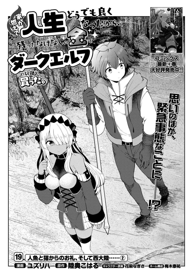 ie_ga_moete_jinsei_dou_demo_yoku_natta_kara_nokotta_nakenashi_no_kin_de_dark_elf_no_dorei_o_katta_19a_1