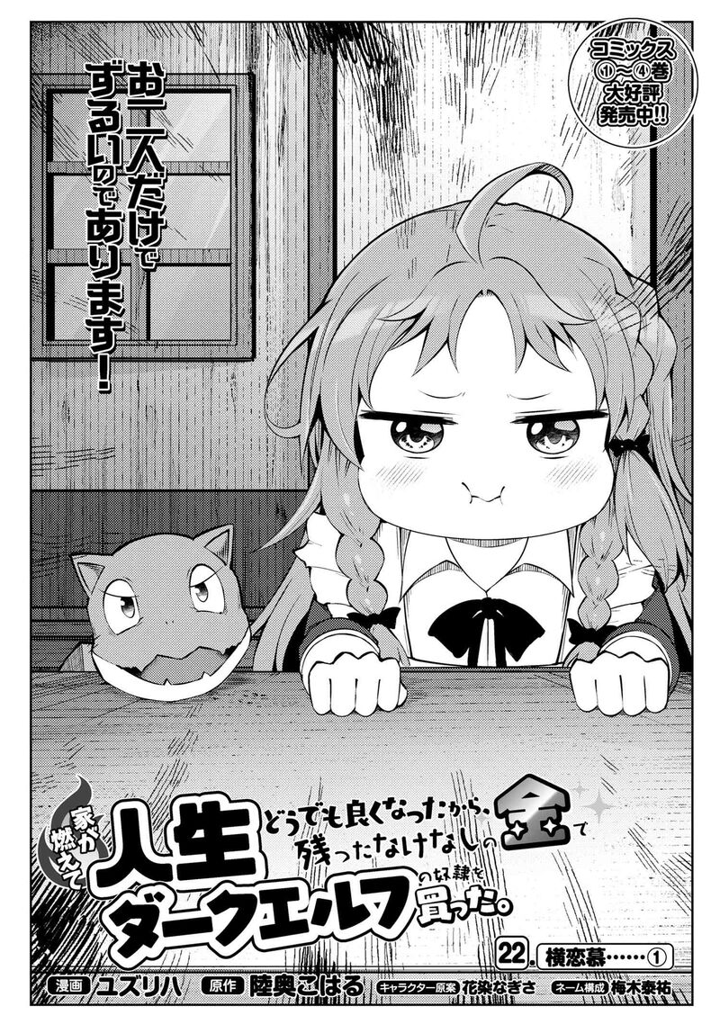 ie_ga_moete_jinsei_dou_demo_yoku_natta_kara_nokotta_nakenashi_no_kin_de_dark_elf_no_dorei_o_katta_22a_2