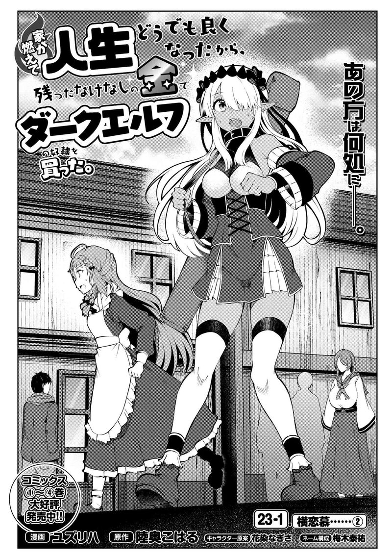 ie_ga_moete_jinsei_dou_demo_yoku_natta_kara_nokotta_nakenashi_no_kin_de_dark_elf_no_dorei_o_katta_23a_2