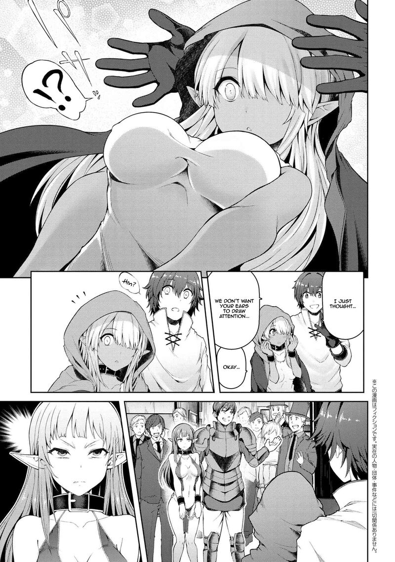 ie_ga_moete_jinsei_dou_demo_yoku_natta_kara_nokotta_nakenashi_no_kin_de_dark_elf_no_dorei_o_katta_2a_2