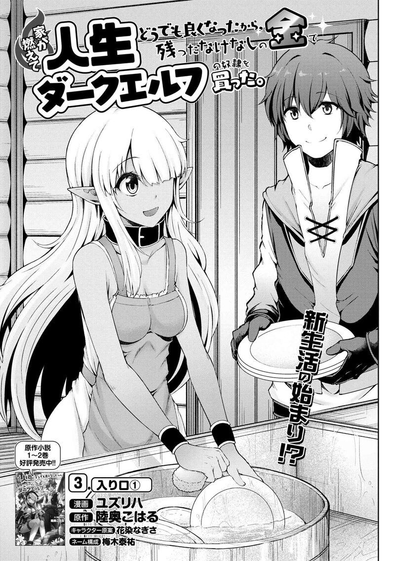ie_ga_moete_jinsei_dou_demo_yoku_natta_kara_nokotta_nakenashi_no_kin_de_dark_elf_no_dorei_o_katta_3a_2