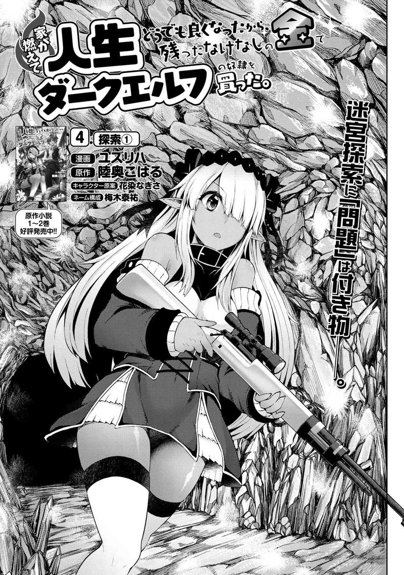 ie_ga_moete_jinsei_dou_demo_yoku_natta_kara_nokotta_nakenashi_no_kin_de_dark_elf_no_dorei_o_katta_4a_2