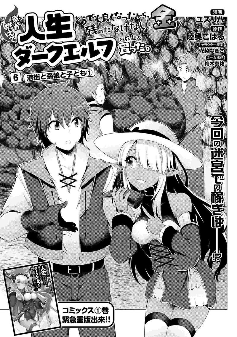 ie_ga_moete_jinsei_dou_demo_yoku_natta_kara_nokotta_nakenashi_no_kin_de_dark_elf_no_dorei_o_katta_6a_2