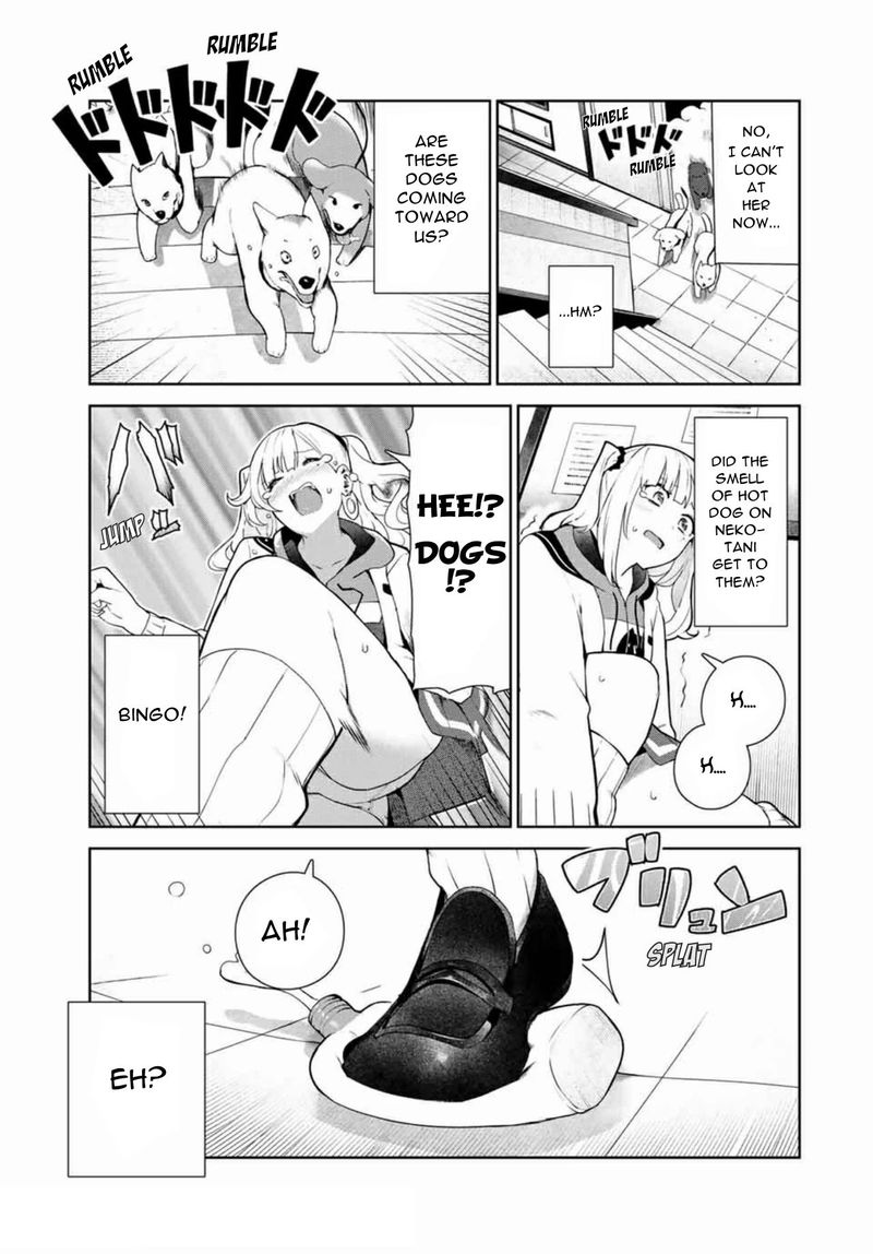 inu_ni_nattara_suki_na_hito_ni_hirowareta_13_5
