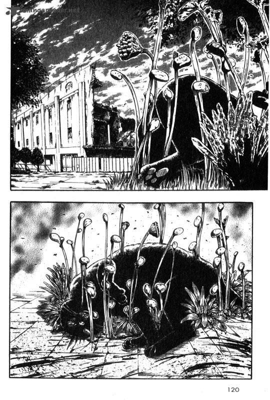 inugami_1_114