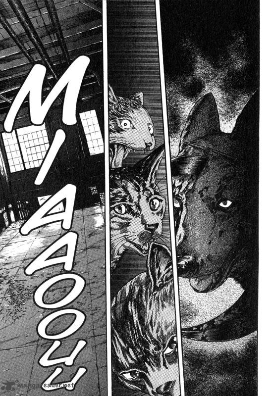 inugami_1_8