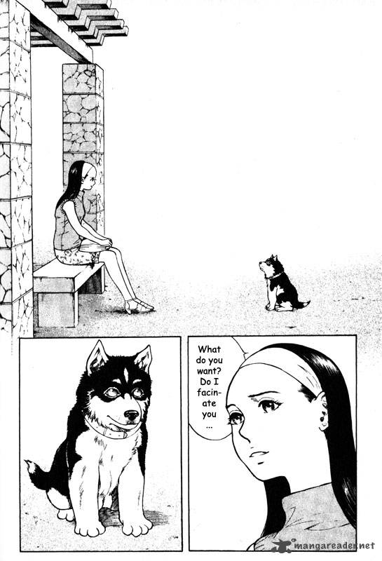 inugami_10_146