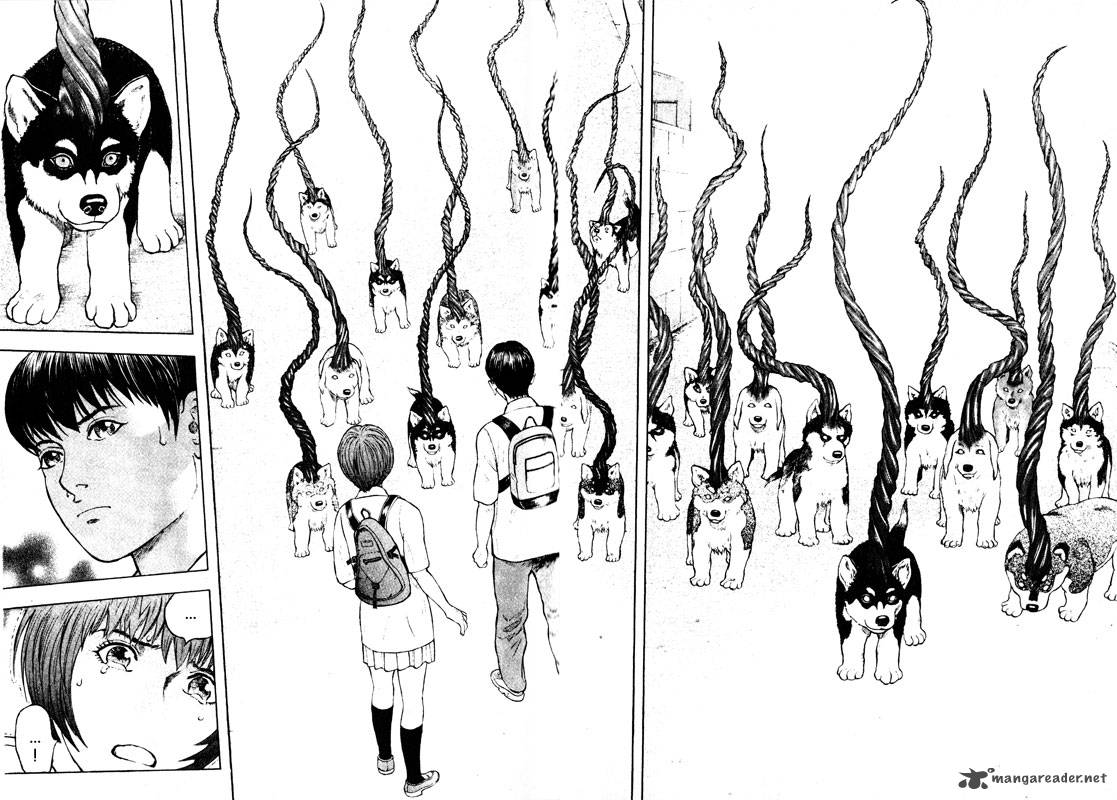 inugami_10_41