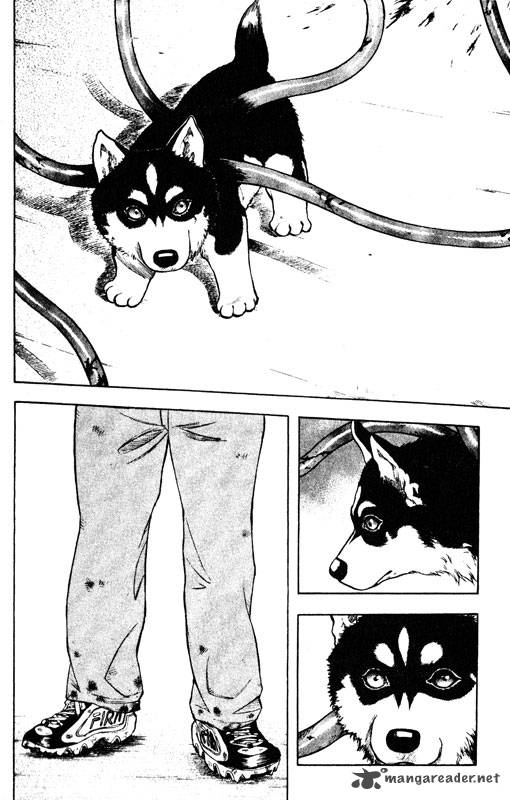 inugami_10_5