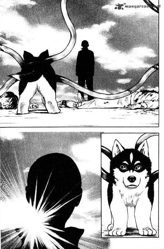 inugami_10_6