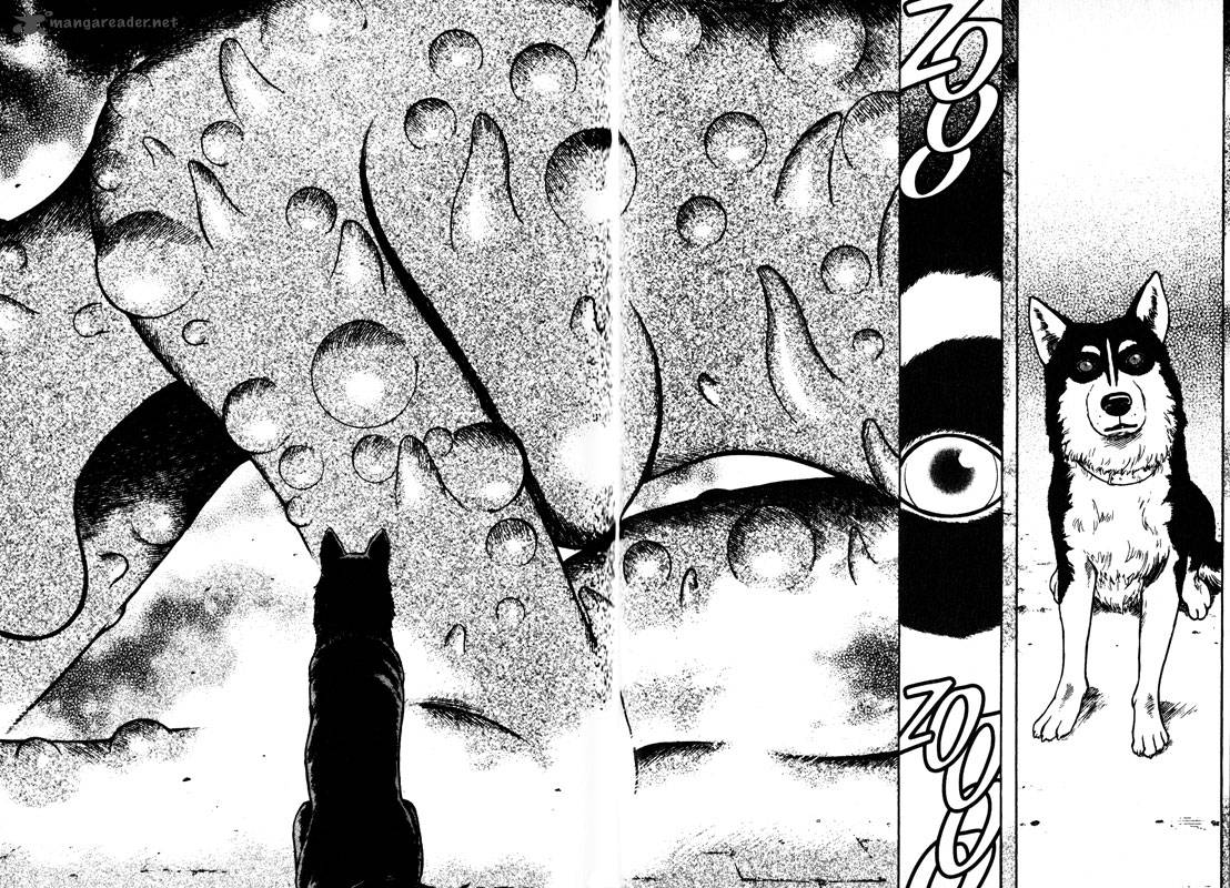 inugami_12_121