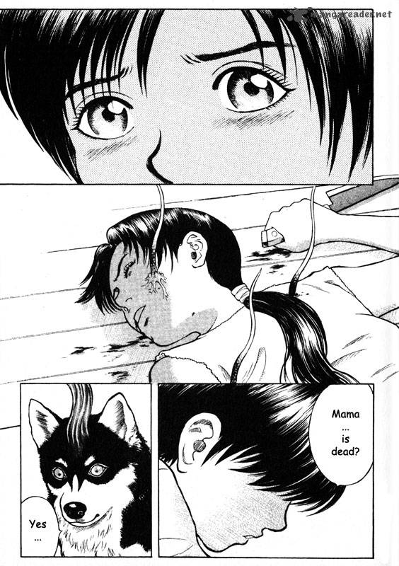 inugami_12_3