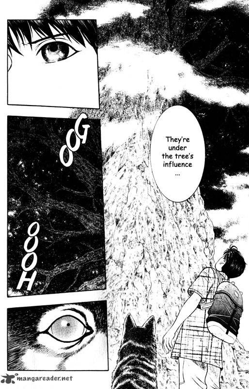 inugami_13_167