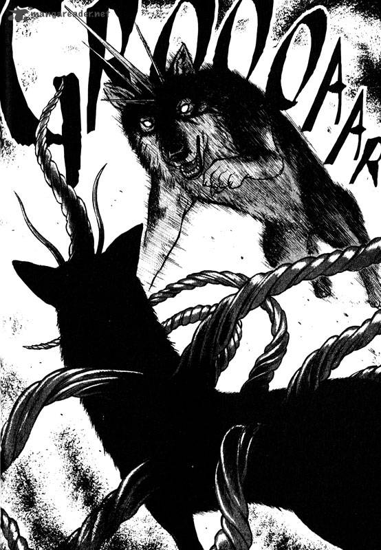 inugami_13_29