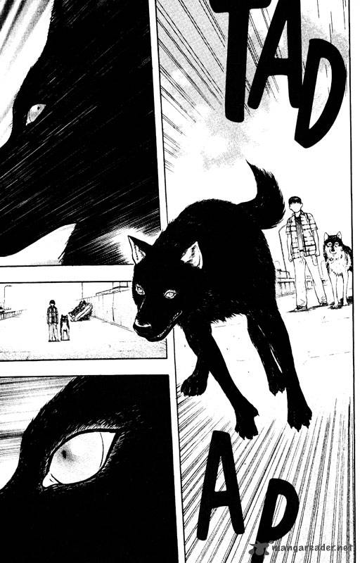 inugami_13_96