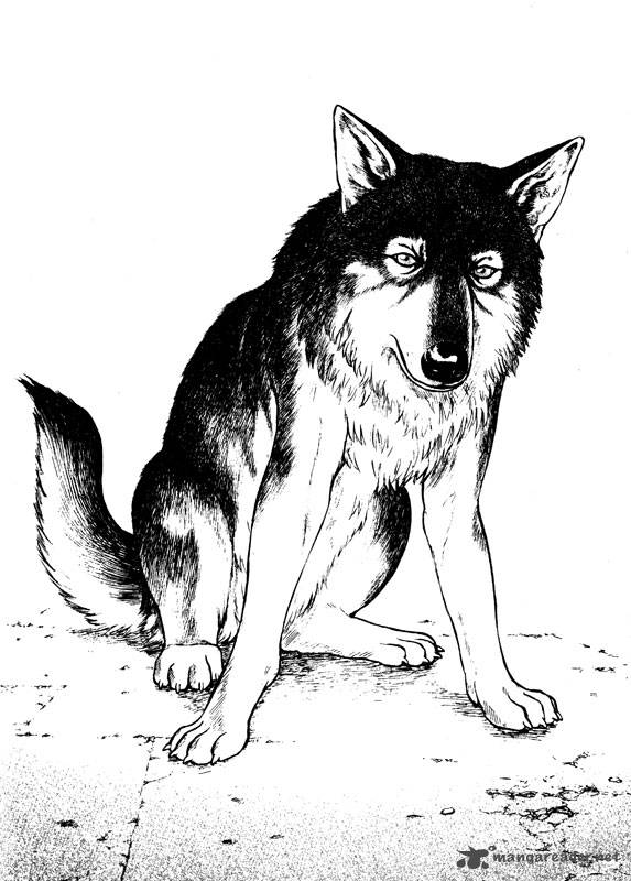 inugami_14_148