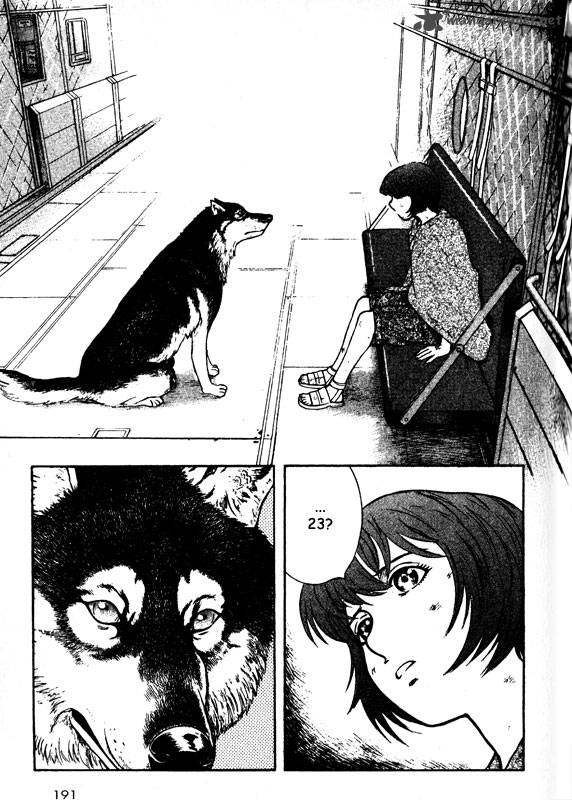 inugami_14_157