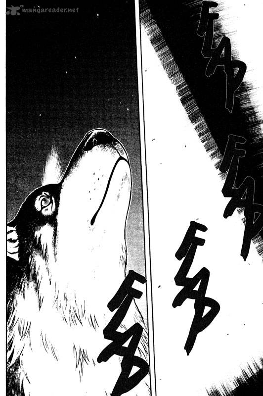 inugami_14_161