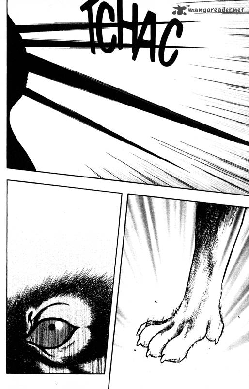inugami_14_50