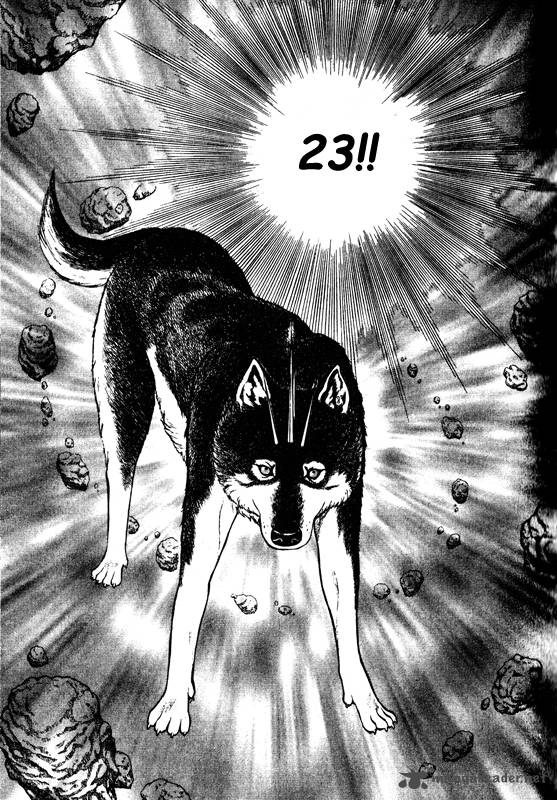 inugami_14_51