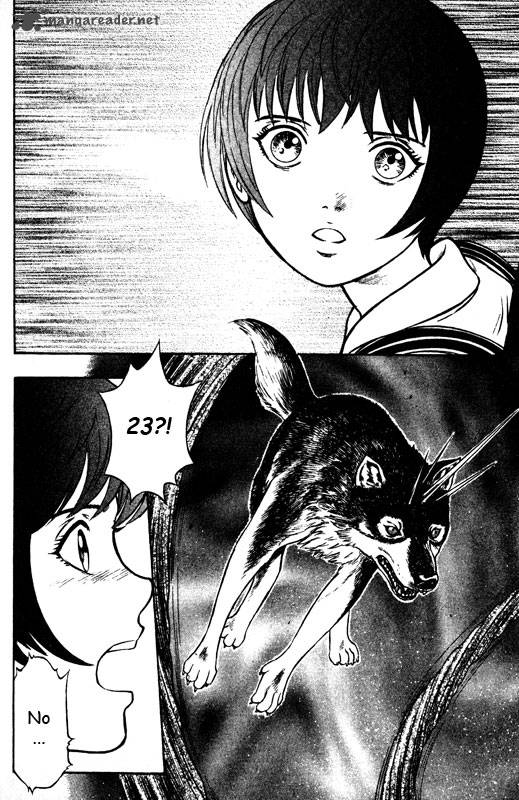 inugami_14_75