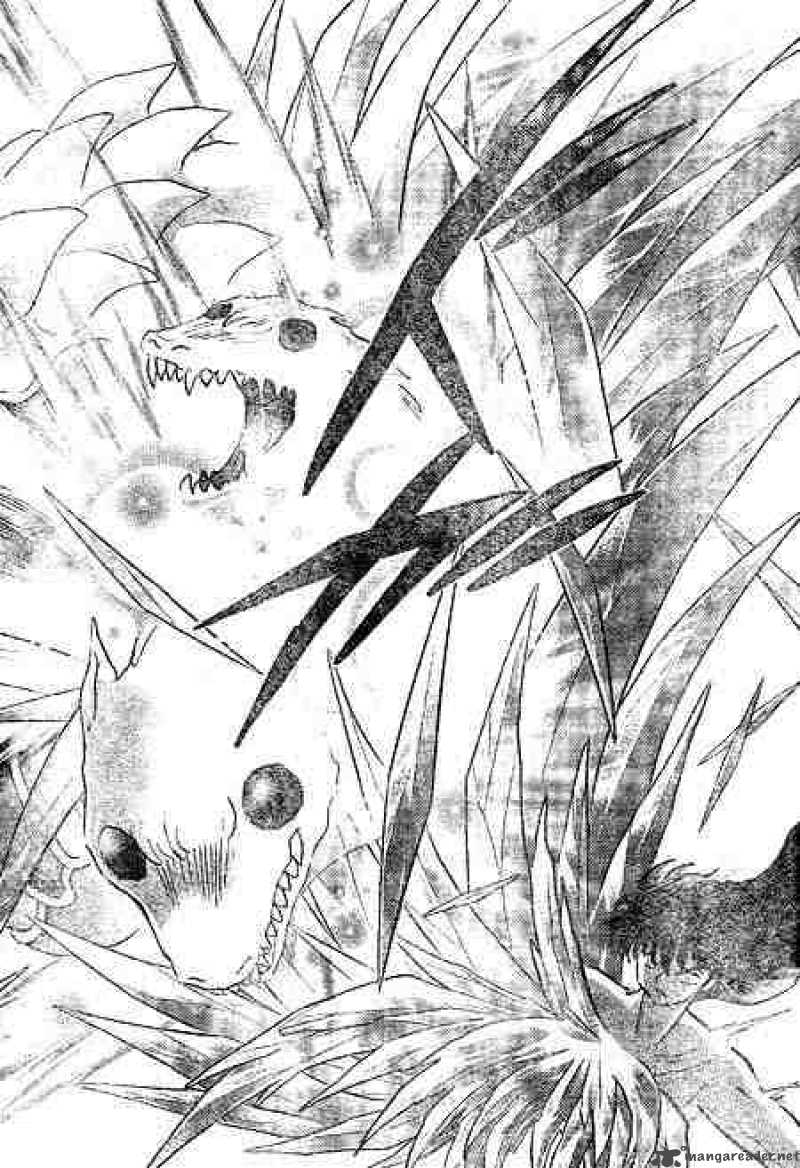 inuyasha_447_14