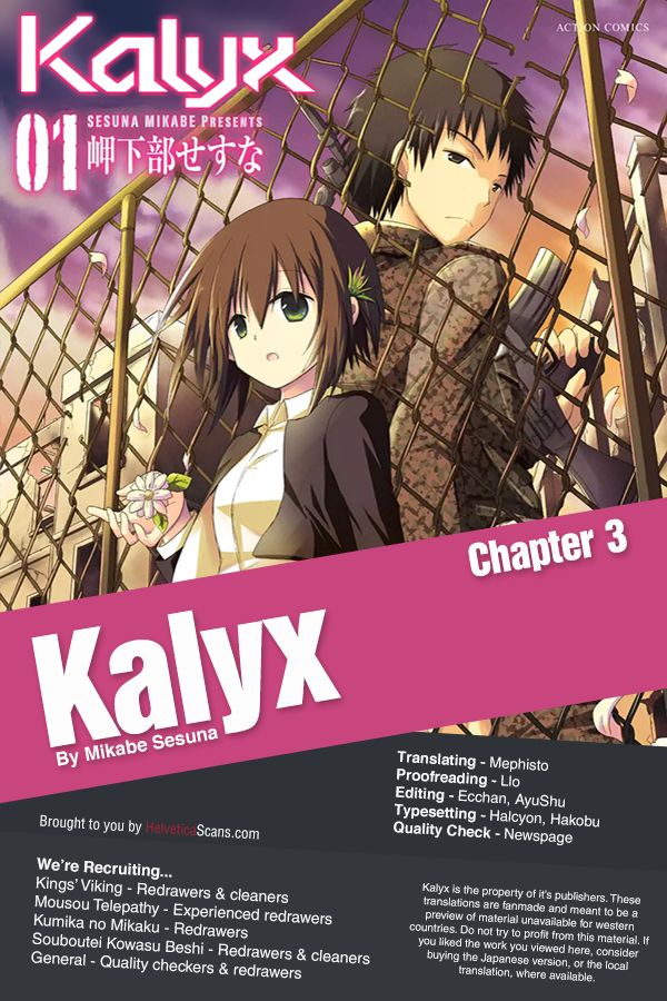 kalyx_3_1
