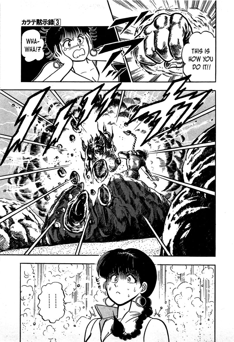 karate_mokushiroku_13_22