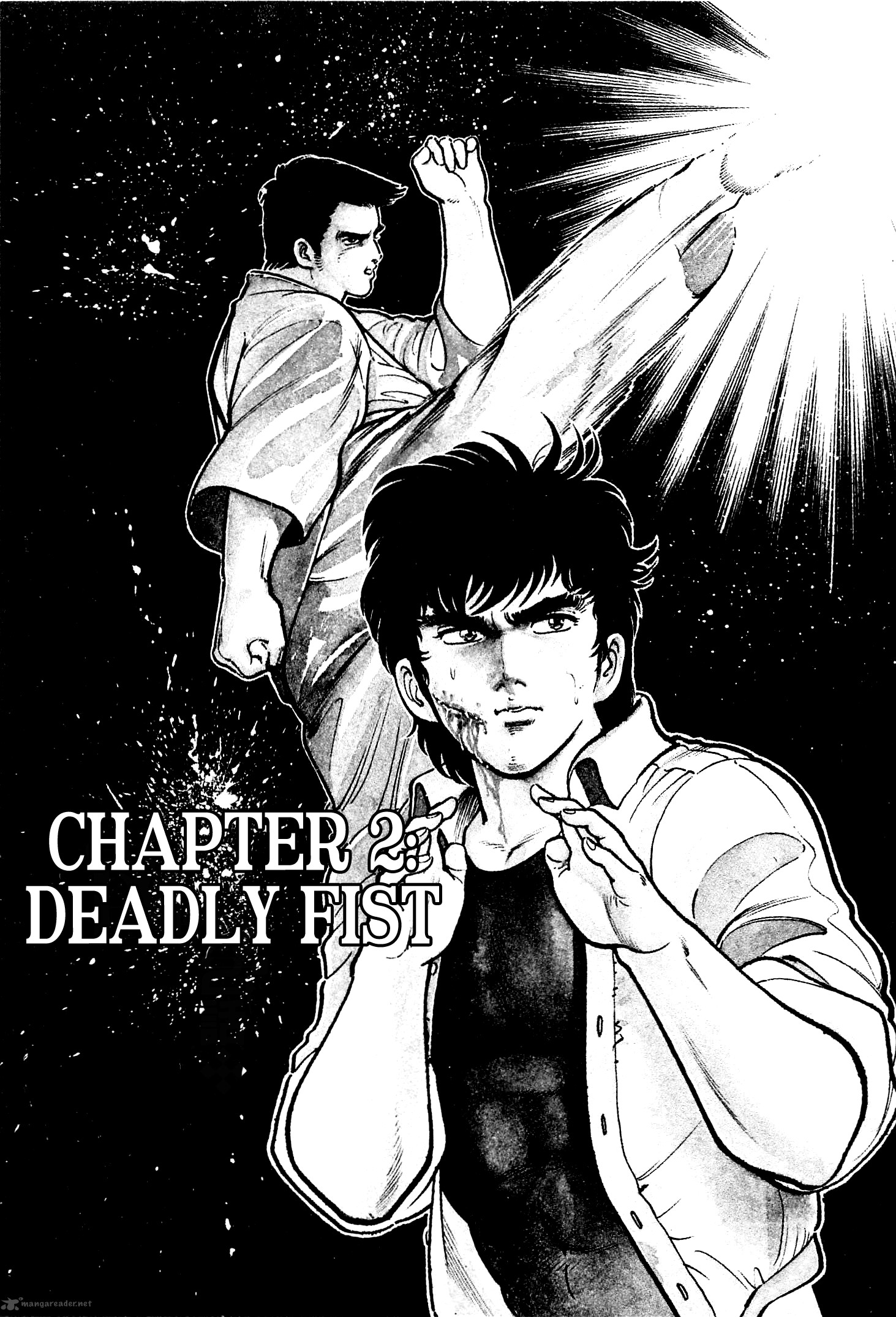 karate_mokushiroku_2_1