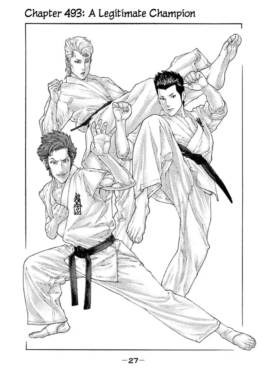karate_shoukoushi_kohinata_minoru_493_1