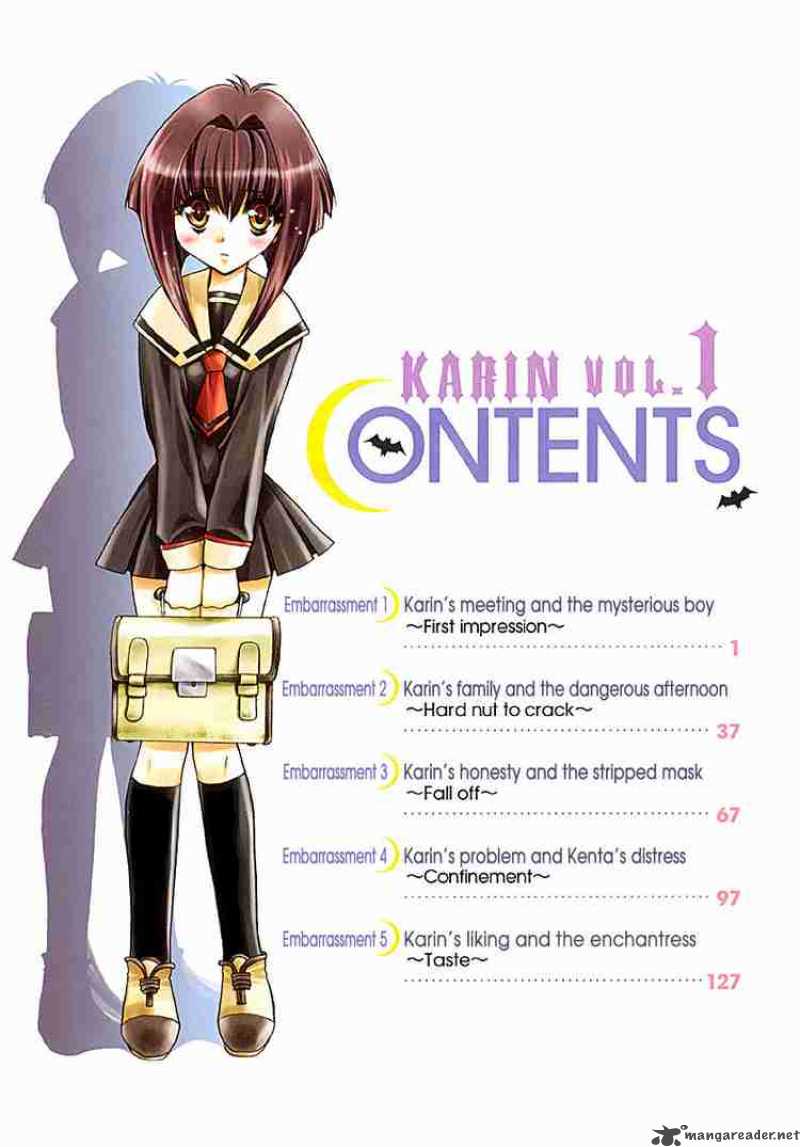karin_1_3