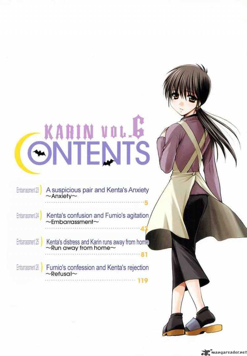 karin_23_3