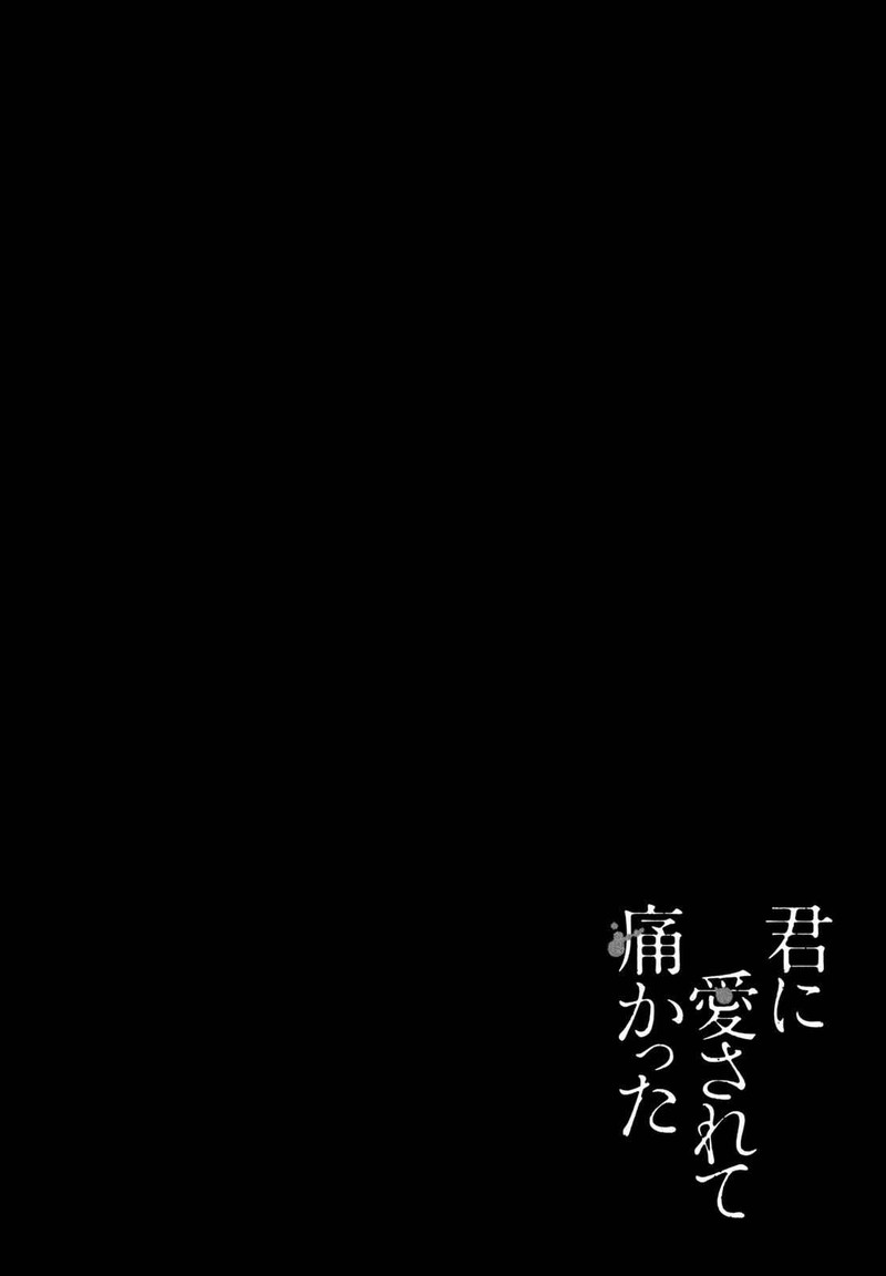 kimi_ni_aisarete_itakatta_17_26