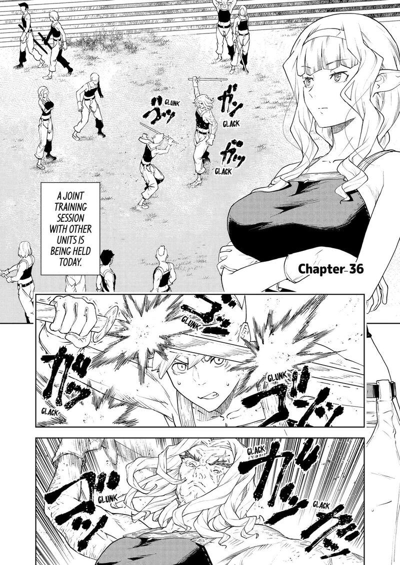 kishi_danchou_no_elf_san_datte_otome_ga_shitai_36_1