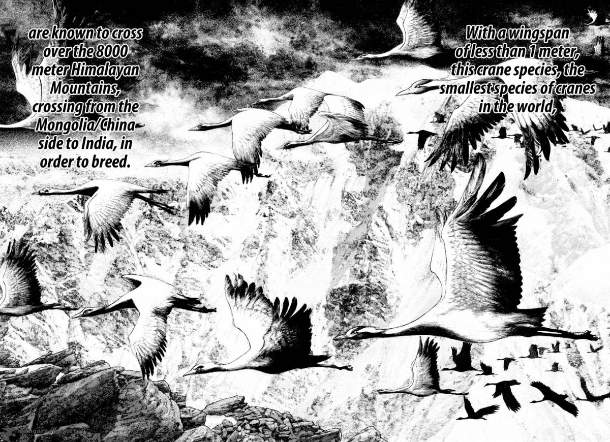 kokou_no_hito_168_10