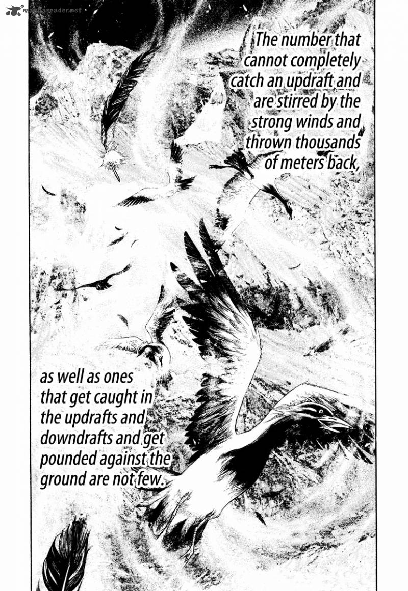 kokou_no_hito_168_13